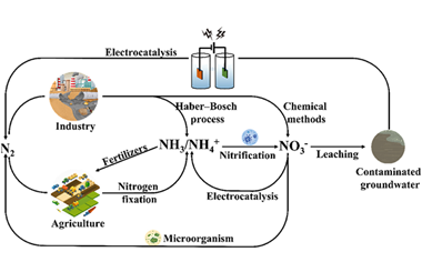 Perspective of nitrate reduction and nitrogen neutral cycle 2023.100067